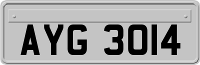AYG3014