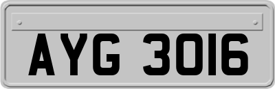 AYG3016
