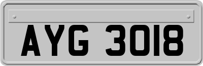 AYG3018