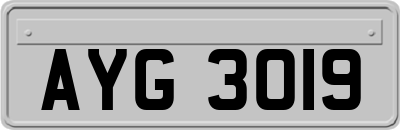 AYG3019