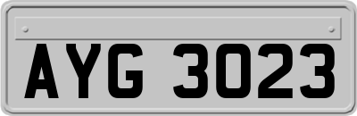 AYG3023