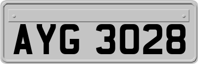 AYG3028