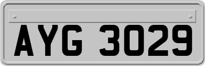 AYG3029