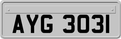AYG3031