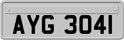AYG3041