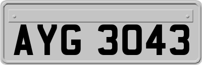 AYG3043
