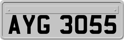 AYG3055
