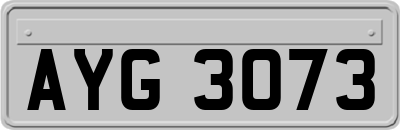 AYG3073