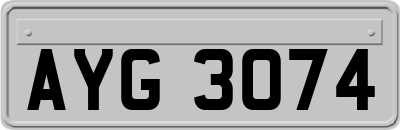 AYG3074