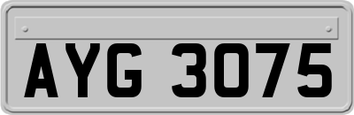 AYG3075