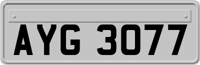AYG3077