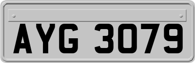 AYG3079