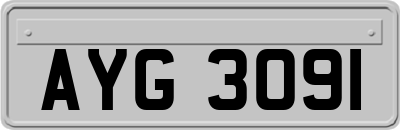 AYG3091