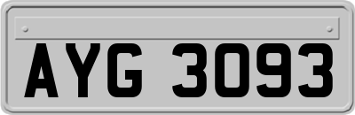 AYG3093