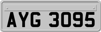 AYG3095