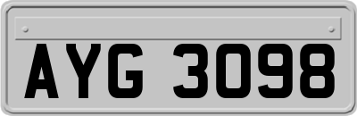 AYG3098