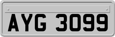 AYG3099