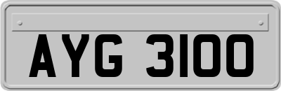 AYG3100