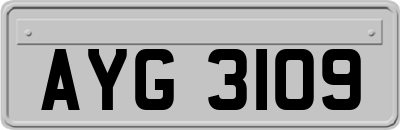 AYG3109