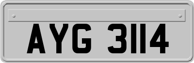 AYG3114
