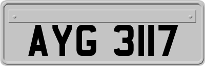 AYG3117