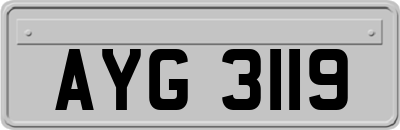 AYG3119