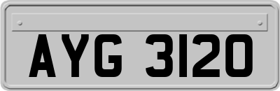 AYG3120