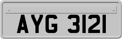 AYG3121