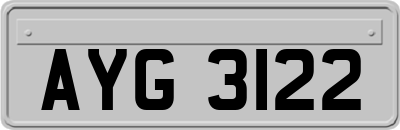 AYG3122