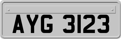 AYG3123