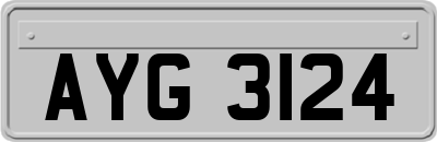 AYG3124
