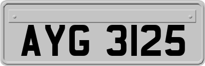 AYG3125