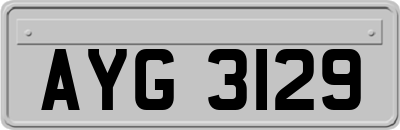 AYG3129