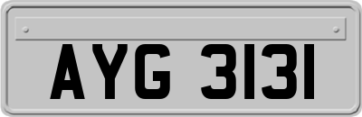 AYG3131