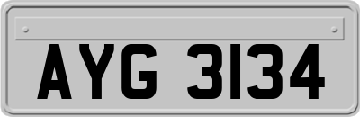 AYG3134