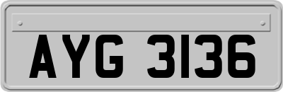 AYG3136
