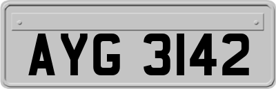 AYG3142