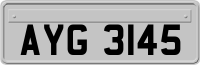 AYG3145