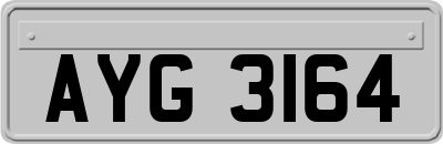 AYG3164