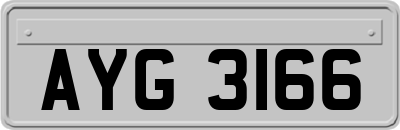 AYG3166
