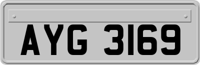 AYG3169