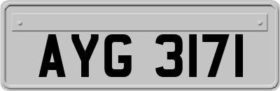 AYG3171