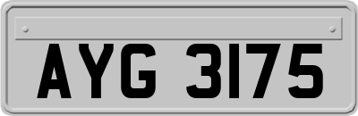 AYG3175