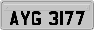AYG3177