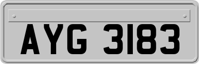AYG3183