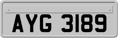 AYG3189