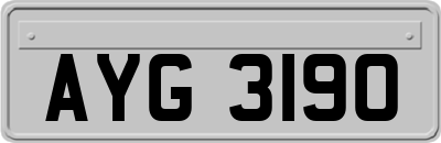 AYG3190