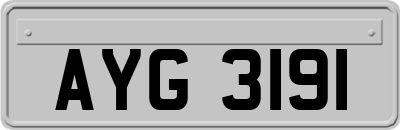 AYG3191