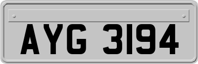 AYG3194