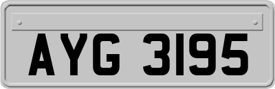AYG3195
